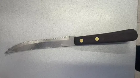 A punta de pistola, le robó el celular a un obrero y lo atraparon horas después con un cuchillo en mano