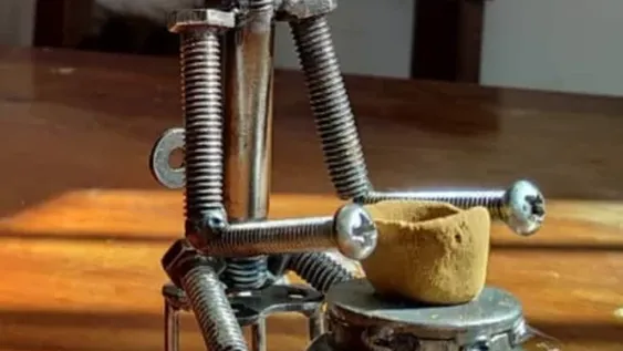 Productos con identidad regional