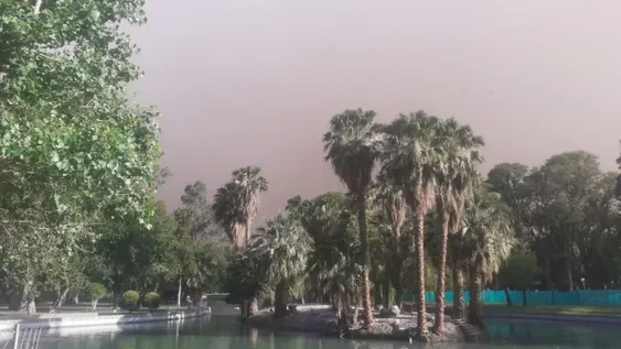 Prevén tormentas y fuertes ráfagas de viento para esta noche