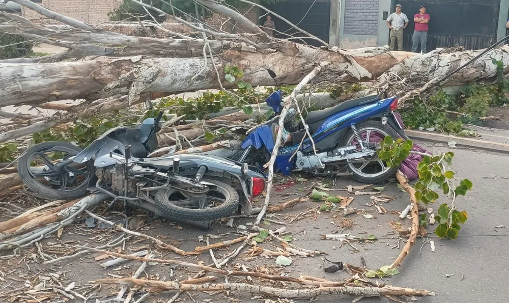 Un motociclista murió y otro resultó herido tras la caída de un árbol por el Zonda en Las Heras.