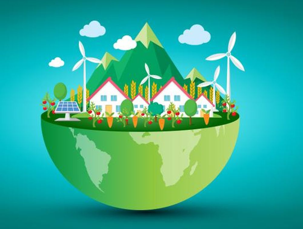 Una mirada ecológica para emprender