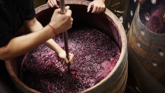 Acuerdo del mosto: San Juan y Mendoza siguen buscando un número para la cuota 