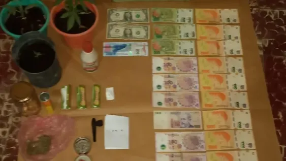 Allanamiento de Gendarmería: secuestraron 3 plantines y casi 40 gramos de marihuana