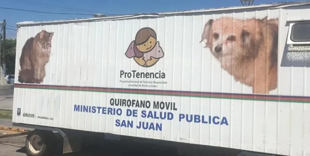 Ambiente esterilizará sin costo a las perros y gatos en Capital