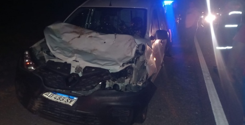 En la misma zona, se han registrado otros accidentes con animales sueltos. (Foto archivo)