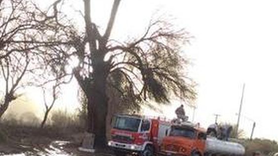 Un incendio hizo arder el “Árbol Histórico” de Huaco, que sufrió importantes daños