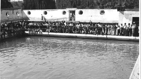 El verano de 1940 en las piletas