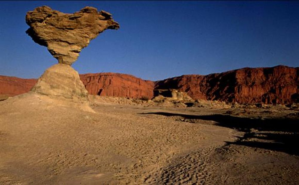 El tesoro del este sanjuanino