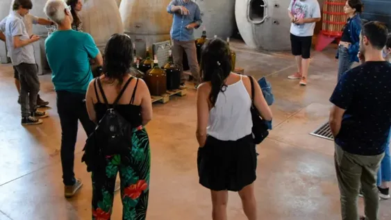 Dictan una diplomatura sobre el turismo del vino