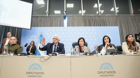 Diputados.-