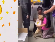 Perro perdido en el terremoto de Colombia.