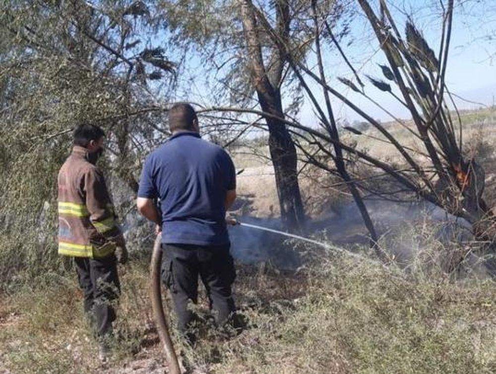 Salvaron casas y animales en medio de un incendio en un criadero