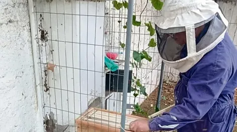 Primer municipio con apicultor