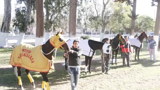 El clásico superó los testeos rápidos