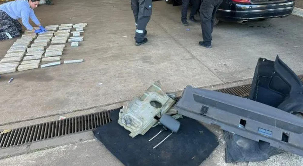 Un perro encontró un cargamento de marihuana valuado en $33 millones