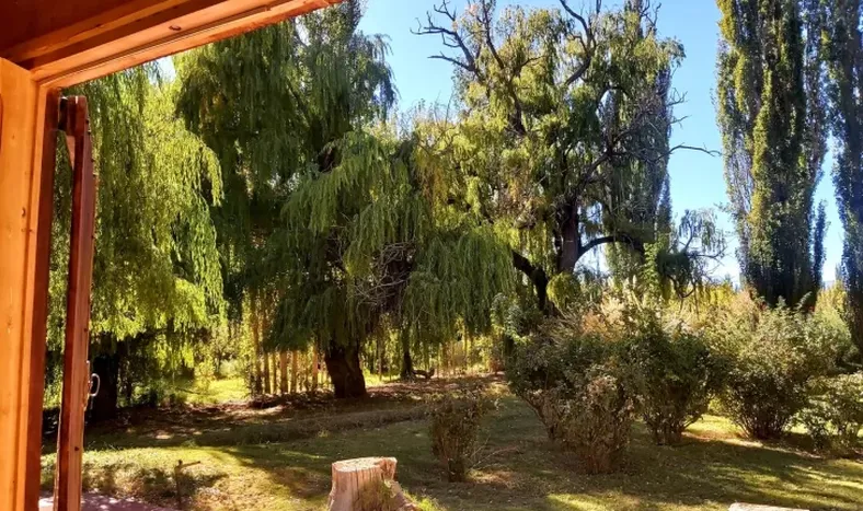 Mi rincón en Barreal