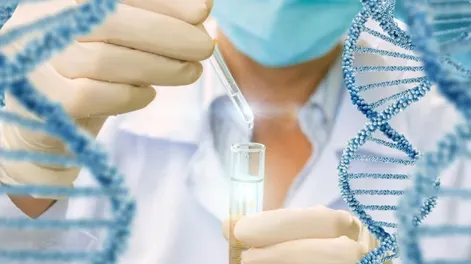 Este envejecimiento acelerado se extiende hasta la adolescencia, lo que aumenta sus probabilidades de que la discapacidad relacionada con la EM y las enfermedades crónicas ocurran más temprano en sus vidas, reportaron los investigadores en la edición de junio de la revista Neurology.