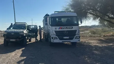 Secuestraron siete animales en un operativo por presencia de ganado suelto en Ruta 40