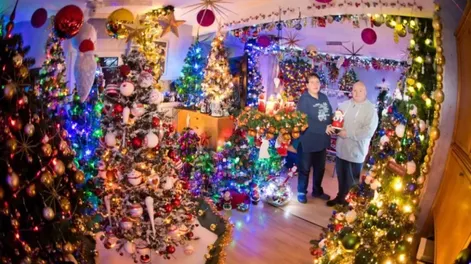 Un alemán tiene en su casa alrededor de 350 árboles de Navidad