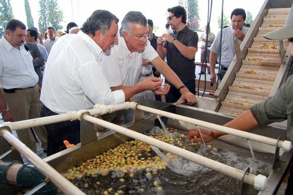 San Juan cuenta con otra planta procesadora de pistachos
