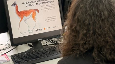 Diario de Cuyo | guia