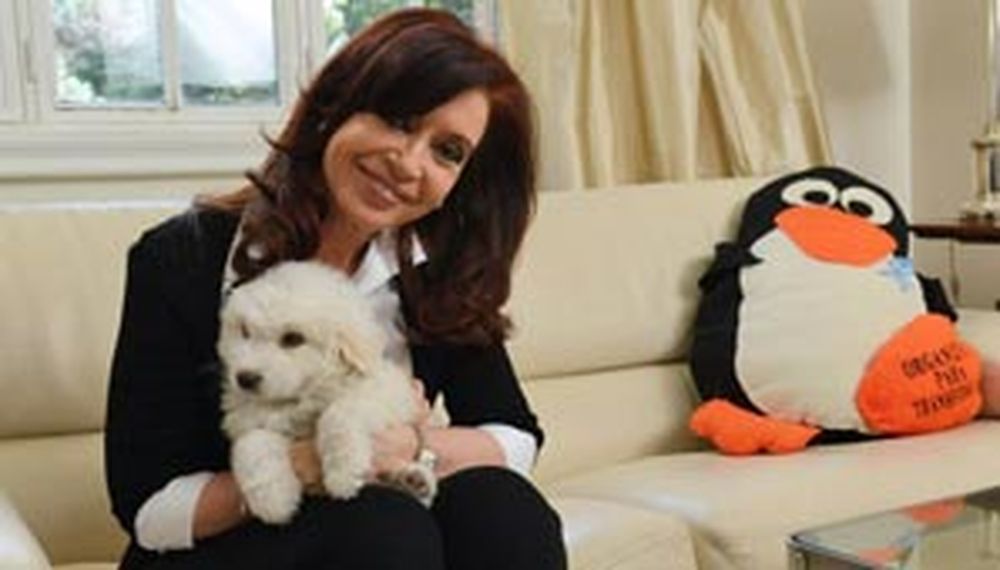 Mirá cómo creció Simón: Cristina volvió a mostrar su perro