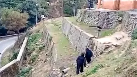 [VIDEO] Policías se disfrazan de osos para ahuyentar a monos invasores