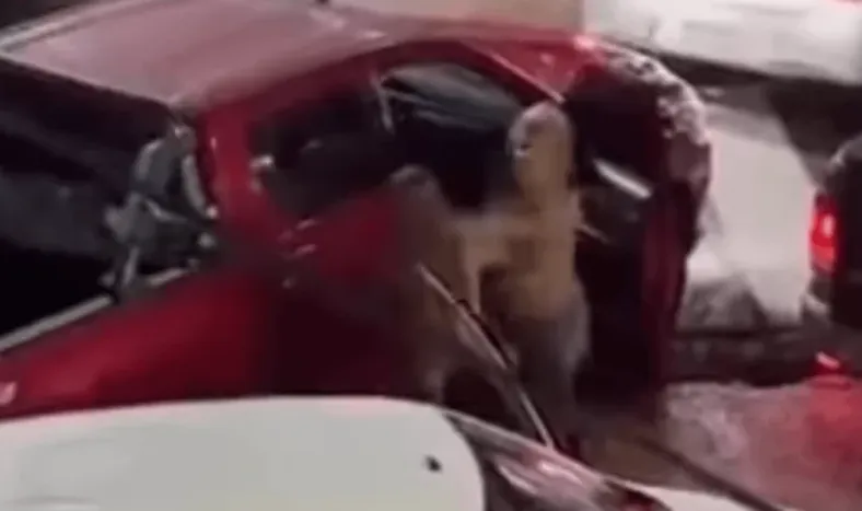 VIDEO: dos mujeres se pelearon en la fila para cargar nafta en Corrientes