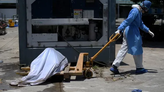 La inmunidad puede durar 8 meses desde el contagio