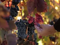 Imagen ilustrativa. Imagen ilustrativa.