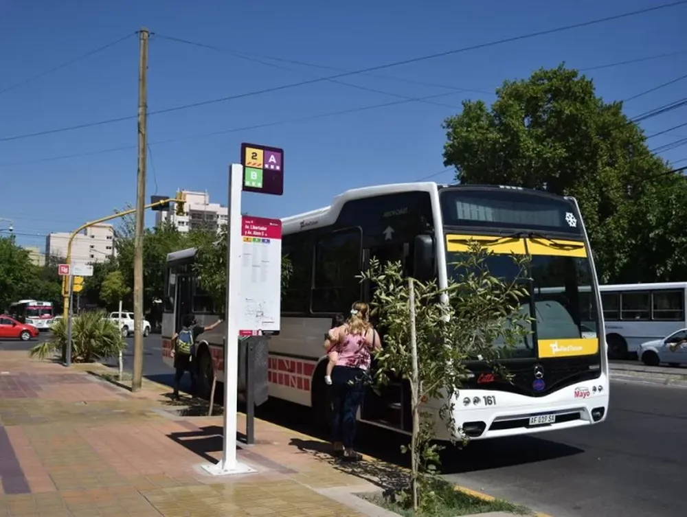 El servicio de colectivos será normal este viernes.