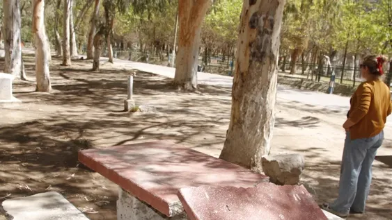 Tras más de un año cerrado, reparan un camping para reabrirlo con más servicios