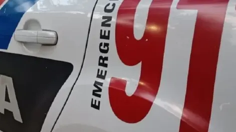Horror en San Martín: hallaron dos caballos faenados en un descampado e investigan la venta de carne equina