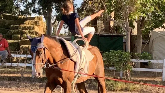 El “Cordillerano” ya está en marcha