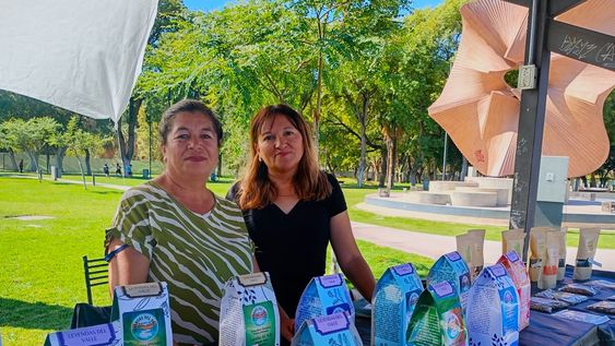leyendas del valle, la yerba mate con sabor a valle fertil que nacio como alternativa saludable