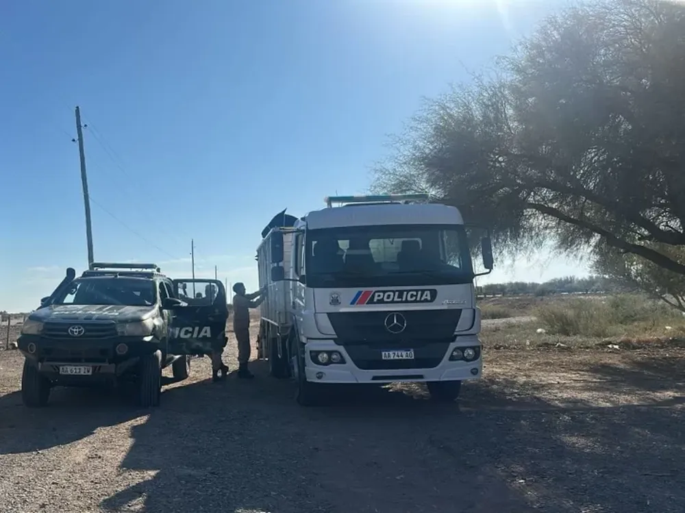 Secuestraron siete animales en un operativo por presencia de ganado suelto en Ruta 40