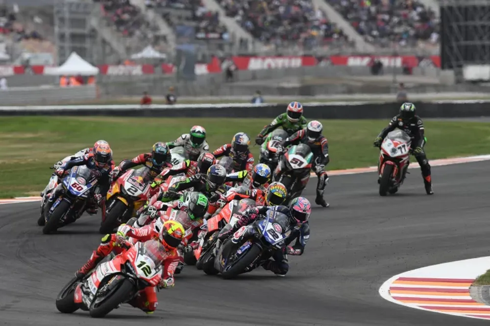 Vinos con perfil frutado y terroso