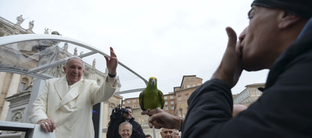 El Papa reza y pide que recen por él en su aniversario