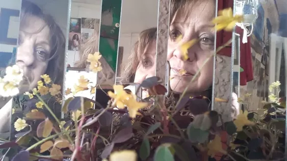 Las Abuelas de Plaza de Mayo informaron la restitución del nieto 131