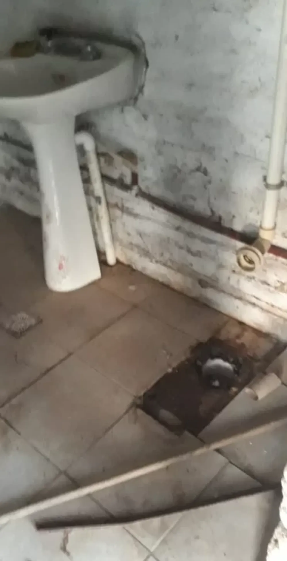 Pusieron cámaras porque ya sufrieron más de 10 robos, y se las llevaron