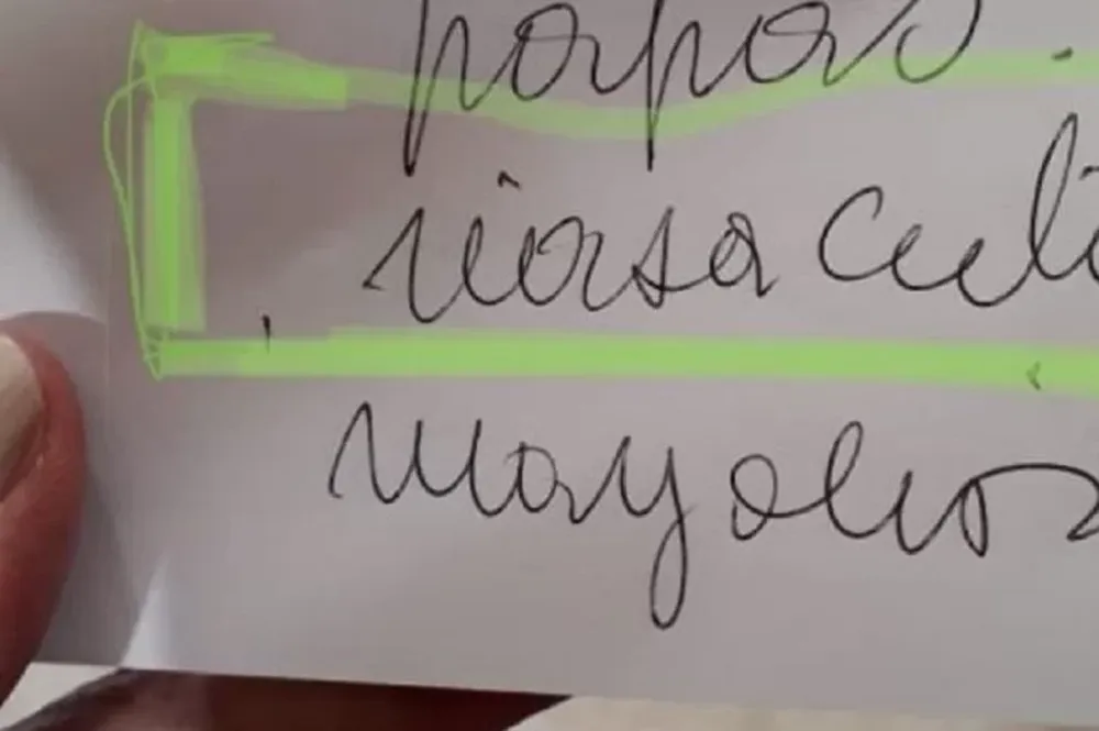 ¿Qué dice? Una lista de compras indescifable que causa furor en las redes
