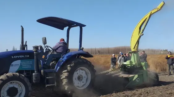 Rawson: está en marcha el polo de trabajo que beneficiará al productor de miel y espárragos