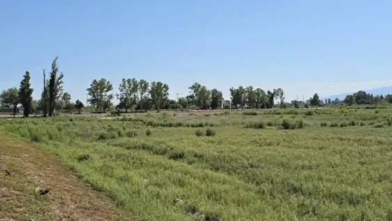 LARGA DATA. La primera norma es de 2015 y luego quedó suspendido, hasta que en julio pasado el municipio insistió.