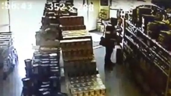 El mensaje de la pareja del exmarido: “Nunca voy a dejar de cuidar y mimar a tus cachorros”