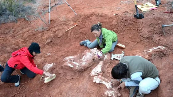 Panphagia, Eoraptor y otros grandes éxitos