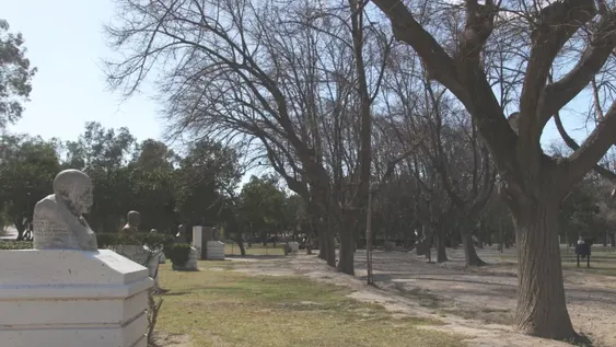 Alumnos trabajan para agregar escritores en el Jardín de los Poetas