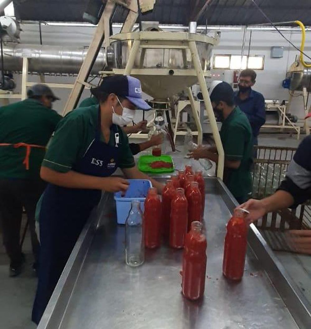 Buen ritmo de elaboración de agroindustrias