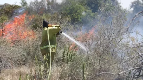 Incendios en Corrientes: una maestra muerta y miles de hectáreas arrasadas por los incendios
