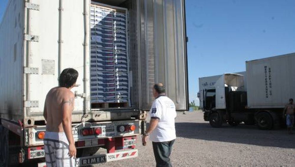 Explosiva suba de envíos de uvas en la aduana local