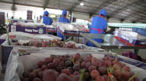 Mix de economía complejo en el viejo mundo